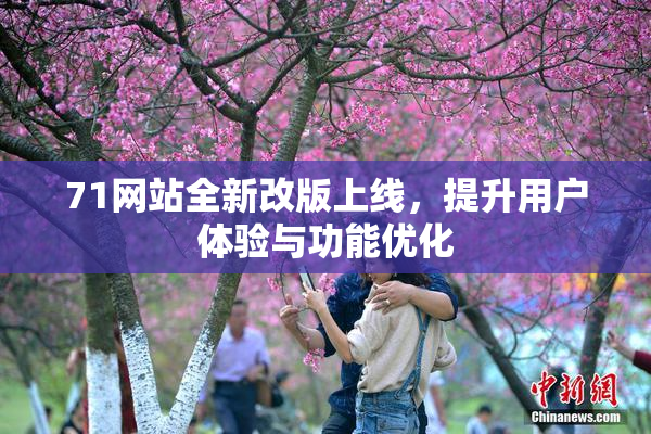 71网站全新改版上线，提升用户体验与功能优化