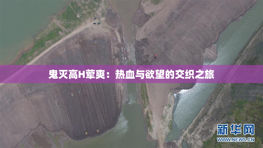 鬼灭高H荤爽：热血与欲望的交织之旅