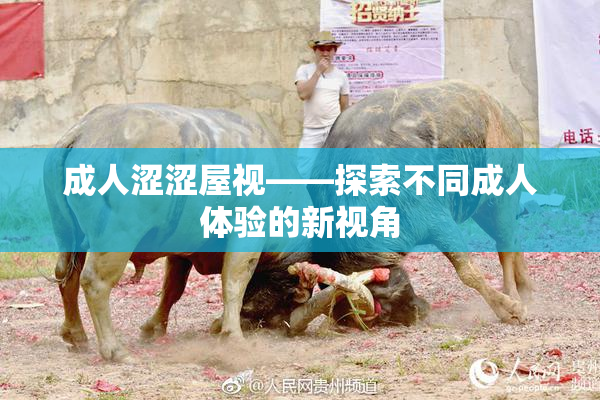 成人涩涩屋视——探索不同成人体验的新视角