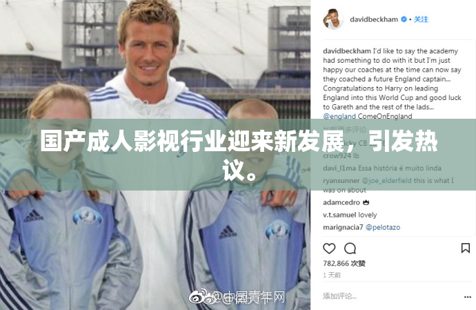 国产成人影视行业迎来新发展，引发热议。