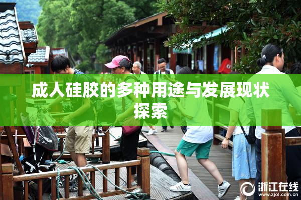 成人硅胶的多种用途与发展现状探索
