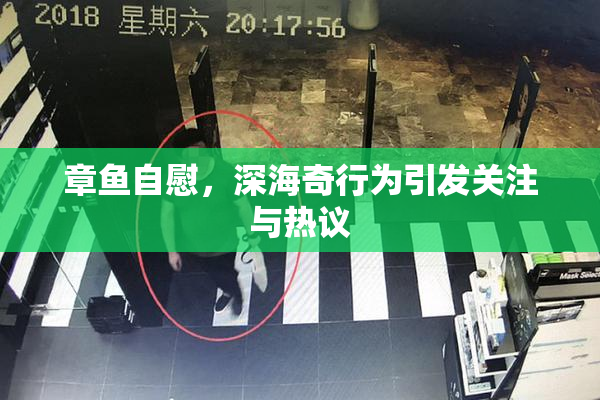 章鱼自慰，深海奇行为引发关注与热议