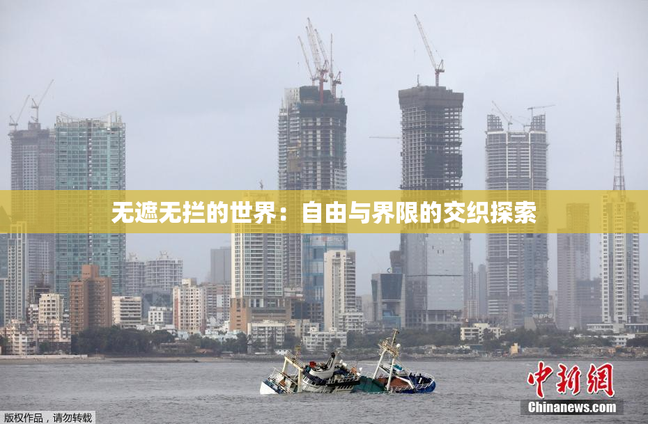 无遮无拦的世界：自由与界限的交织探索