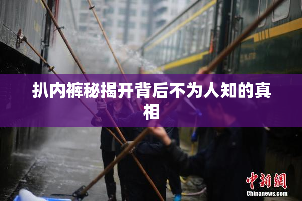 扒内裤秘揭开背后不为人知的真相