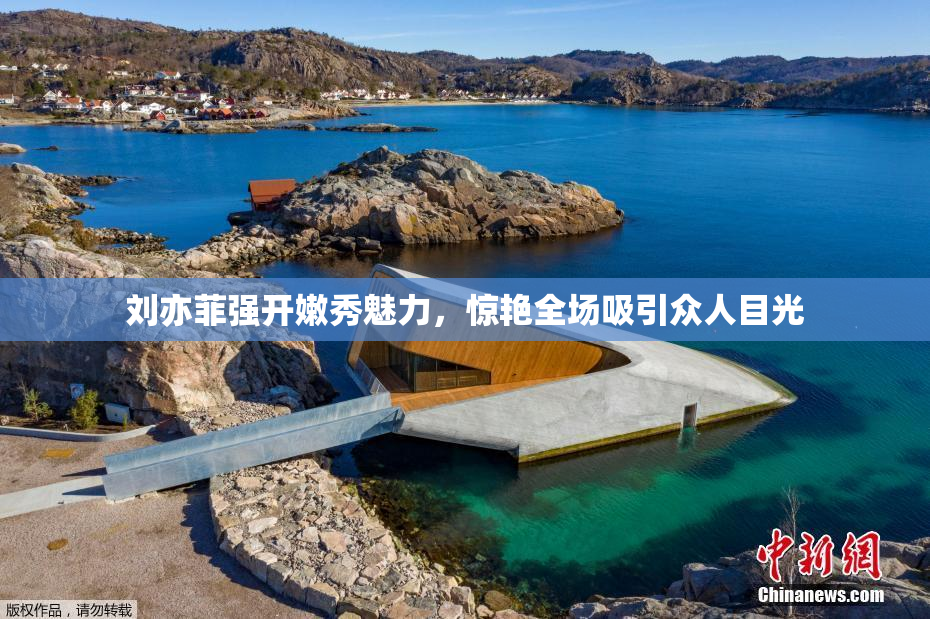 刘亦菲强开嫩秀魅力，惊艳全场吸引众人目光