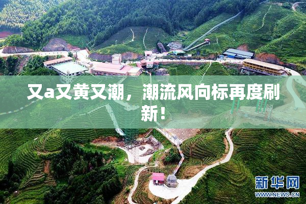 又a又黄又潮，潮流风向标再度刷新！