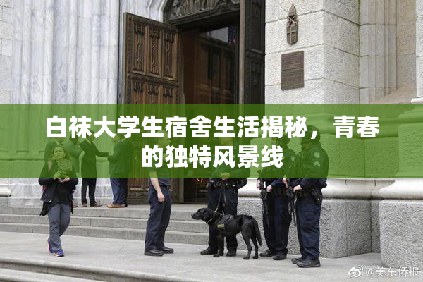 白袜大学生宿舍生活揭秘，青春的独特风景线