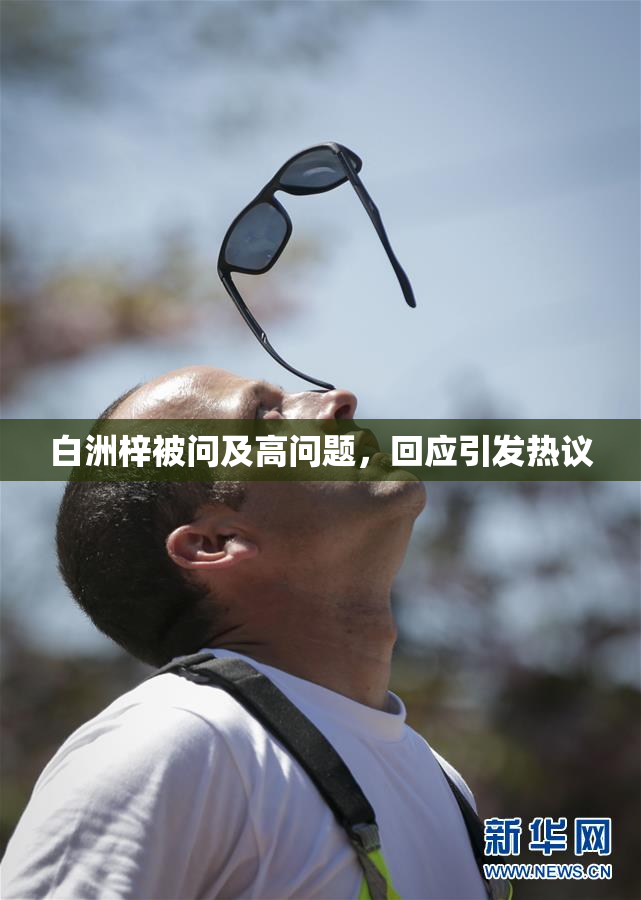 白洲梓被问及高问题，回应引发热议