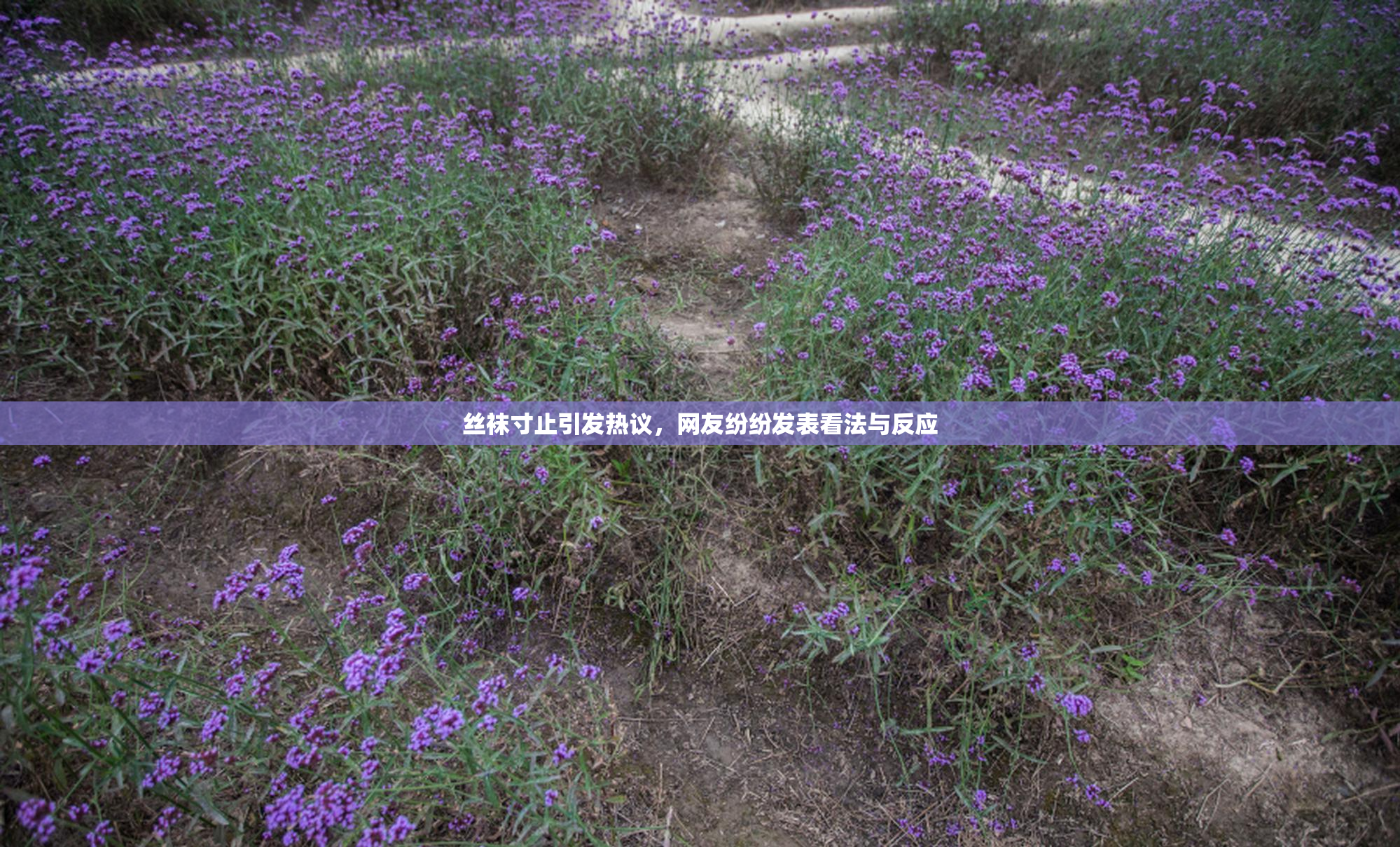 丝袜寸止引发热议，网友纷纷发表看法与反应