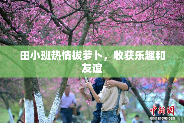 田小班热情拔萝卜，收获乐趣和友谊