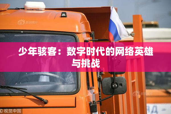 少年骇客：数字时代的网络英雄与挑战
