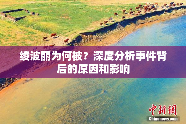 绫波丽为何被？深度分析事件背后的原因和影响