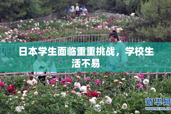 日本学生面临重重挑战，学校生活不易