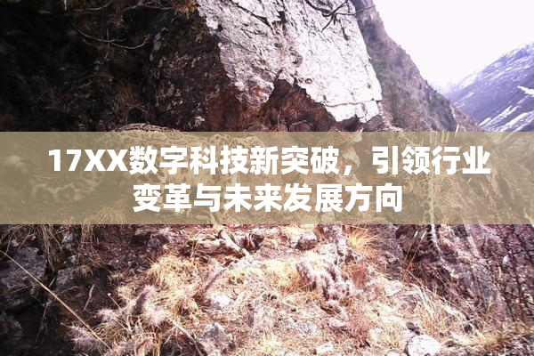 17XX数字科技新突破，引领行业变革与未来发展方向