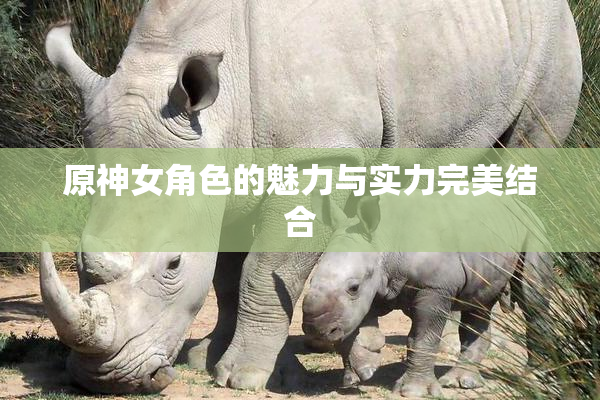 原神女角色的魅力与实力完美结合