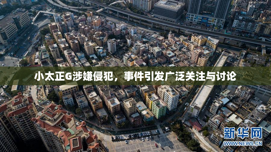 小太正G涉嫌侵犯，事件引发广泛关注与讨论