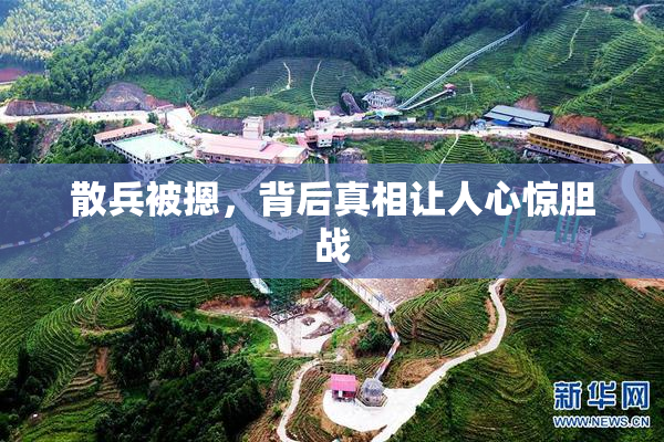 散兵被摁，背后真相让人心惊胆战