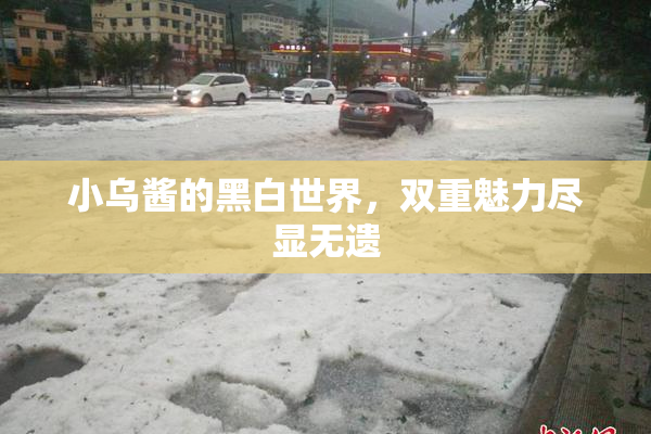 小乌酱的黑白世界，双重魅力尽显无遗