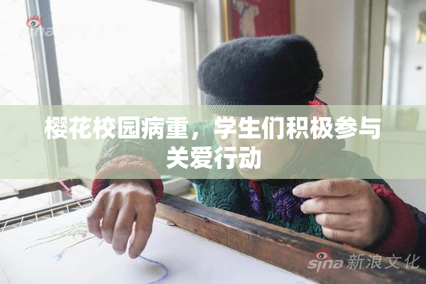 樱花校园病重，学生们积极参与关爱行动