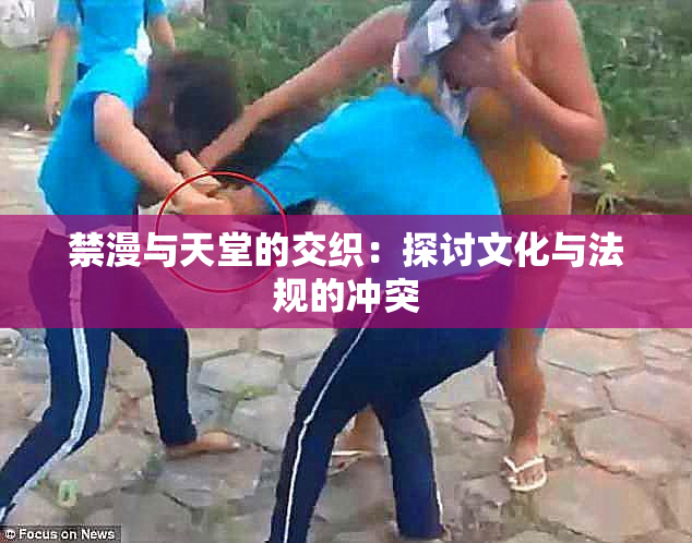 禁漫与天堂的交织：探讨文化与法规的冲突