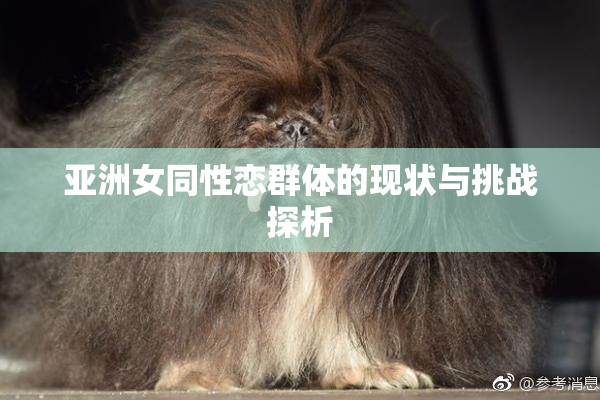亚洲女同性恋群体的现状与挑战探析