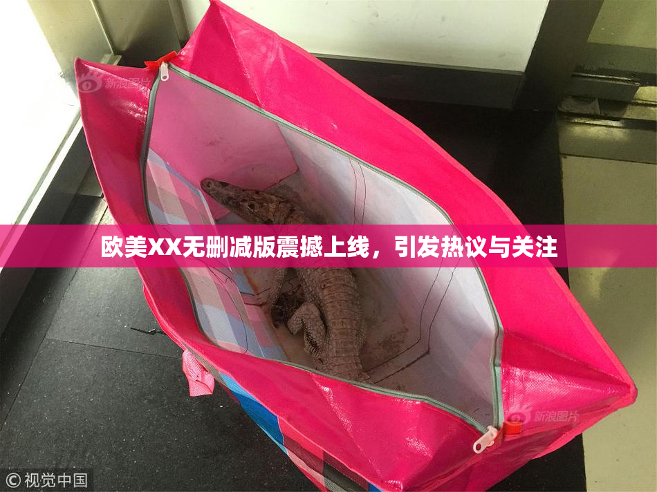 欧美XX无删减版震撼上线，引发热议与关注