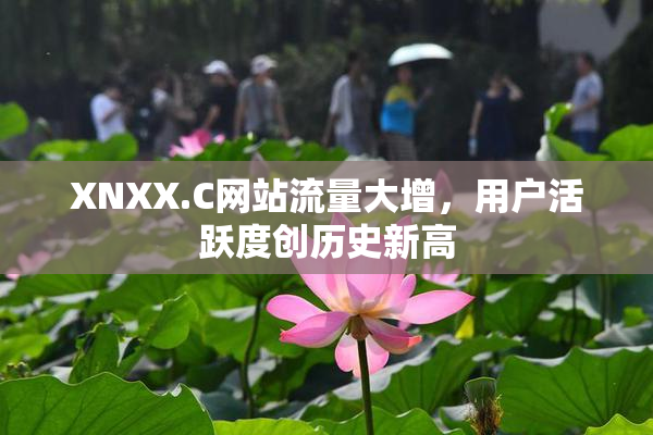 XNXX.C网站流量大增，用户活跃度创历史新高