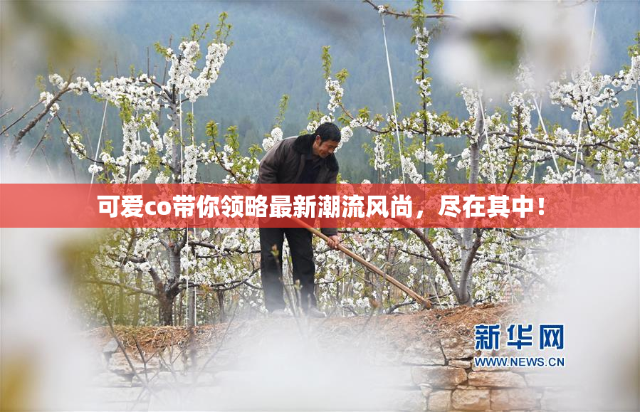 可爱co带你领略最新潮流风尚，尽在其中！
