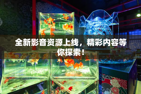 全新影音资源上线，精彩内容等你探索！
