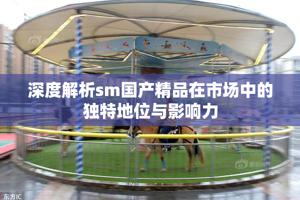 深度解析sm国产精品在市场中的独特地位与影响力