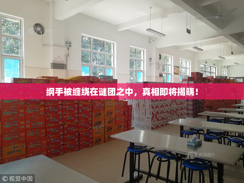 纲手被缠绕在谜团之中，真相即将揭晓！