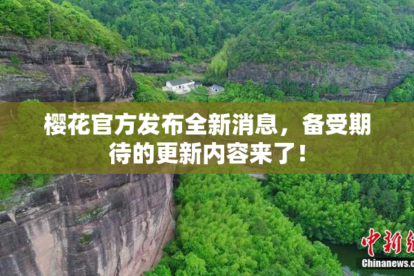 樱花官方发布全新消息，备受期待的更新内容来了！
