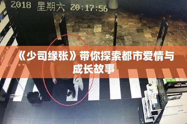 《少司缘张》带你探索都市爱情与成长故事