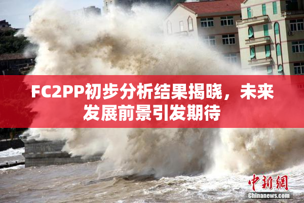 FC2PP初步分析结果揭晓，未来发展前景引发期待