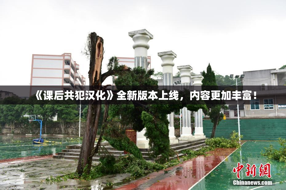 《课后共犯汉化》全新版本上线，内容更加丰富！