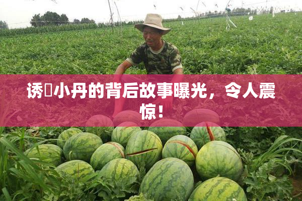 诱奷小丹的背后故事曝光，令人震惊！