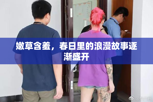 嫩草含羞，春日里的浪漫故事逐渐盛开