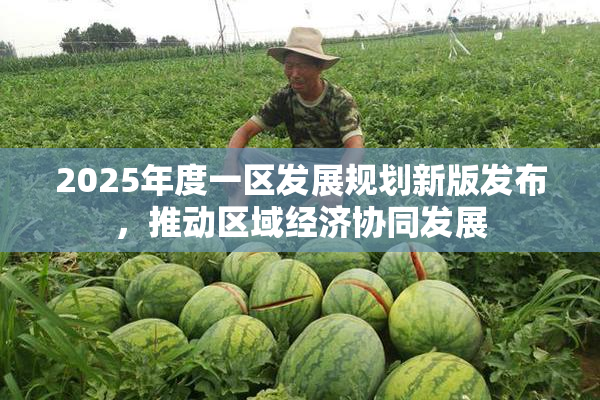 2025年度一区发展规划新版发布，推动区域经济协同发展