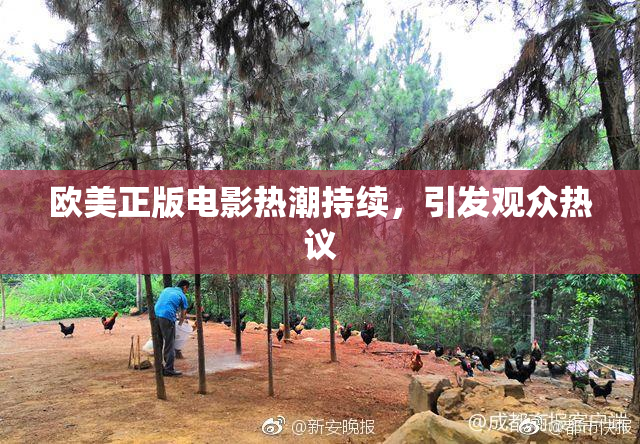 欧美正版电影热潮持续，引发观众热议