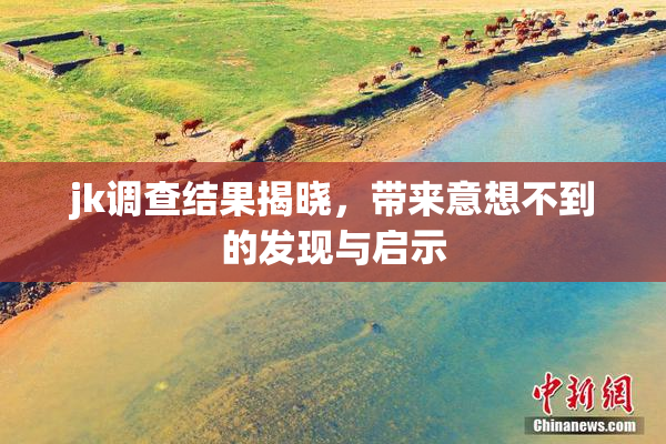 jk调查结果揭晓，带来意想不到的发现与启示