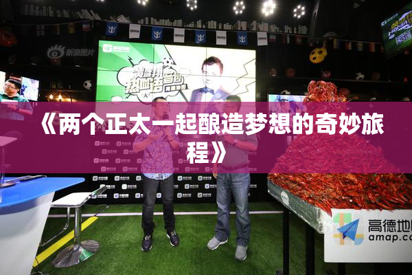 《两个正太一起酿造梦想的奇妙旅程》