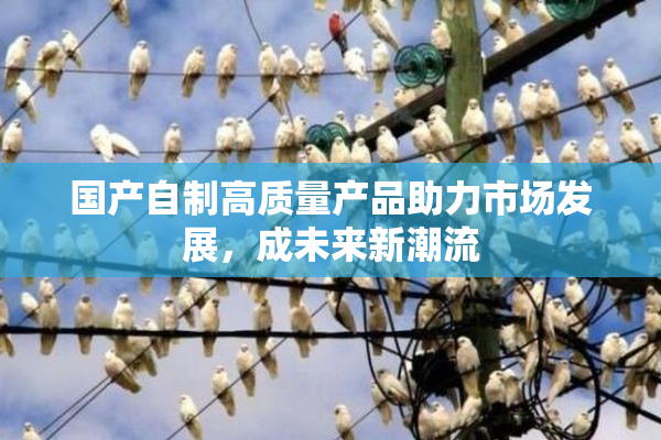 国产自制高质量产品助力市场发展，成未来新潮流