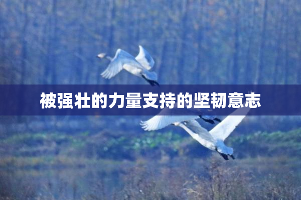 被强壮的力量支持的坚韧意志