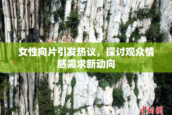 女性向片引发热议，探讨观众情感需求新动向