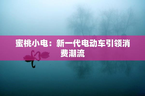 蜜桃小电：新一代电动车引领消费潮流