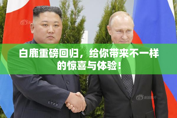 白鹿重磅回归，给你带来不一样的惊喜与体验！