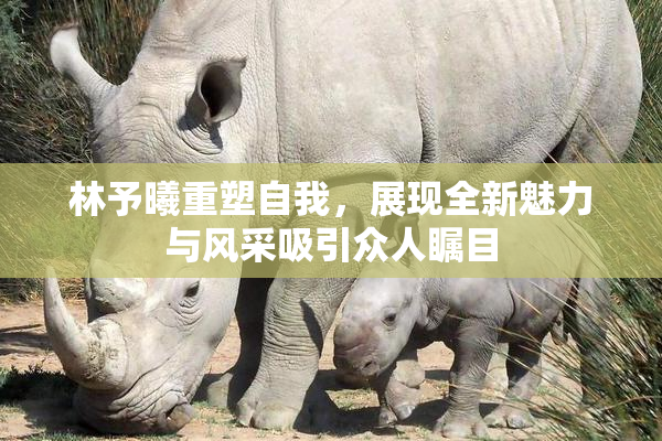 林予曦重塑自我，展现全新魅力与风采吸引众人瞩目