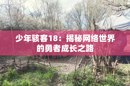 少年骇客18：揭秘网络世界的勇者成长之路