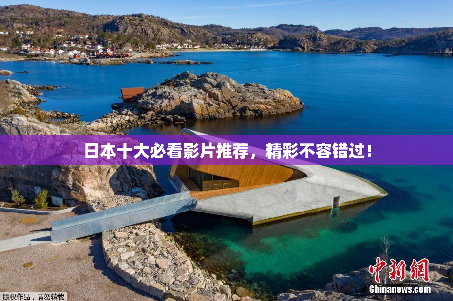 日本十大必看影片推荐，精彩不容错过！