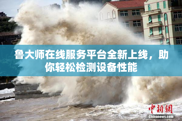 鲁大师在线服务平台全新上线，助你轻松检测设备性能